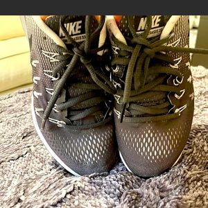 Nike Zoom Pegasus